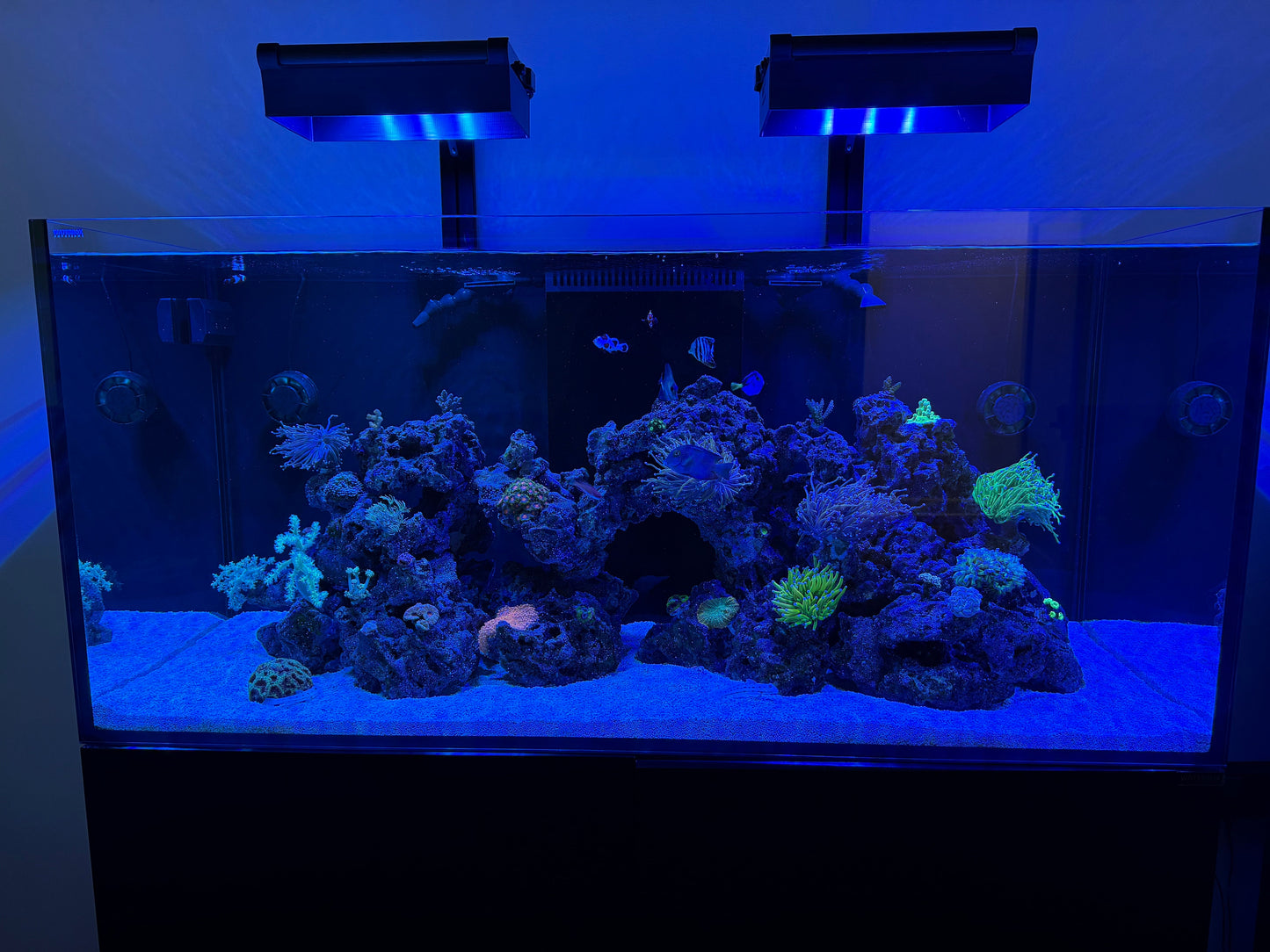 AquaIllumination Hydra Edge 44HD Light Shade by Reef Racket LLC