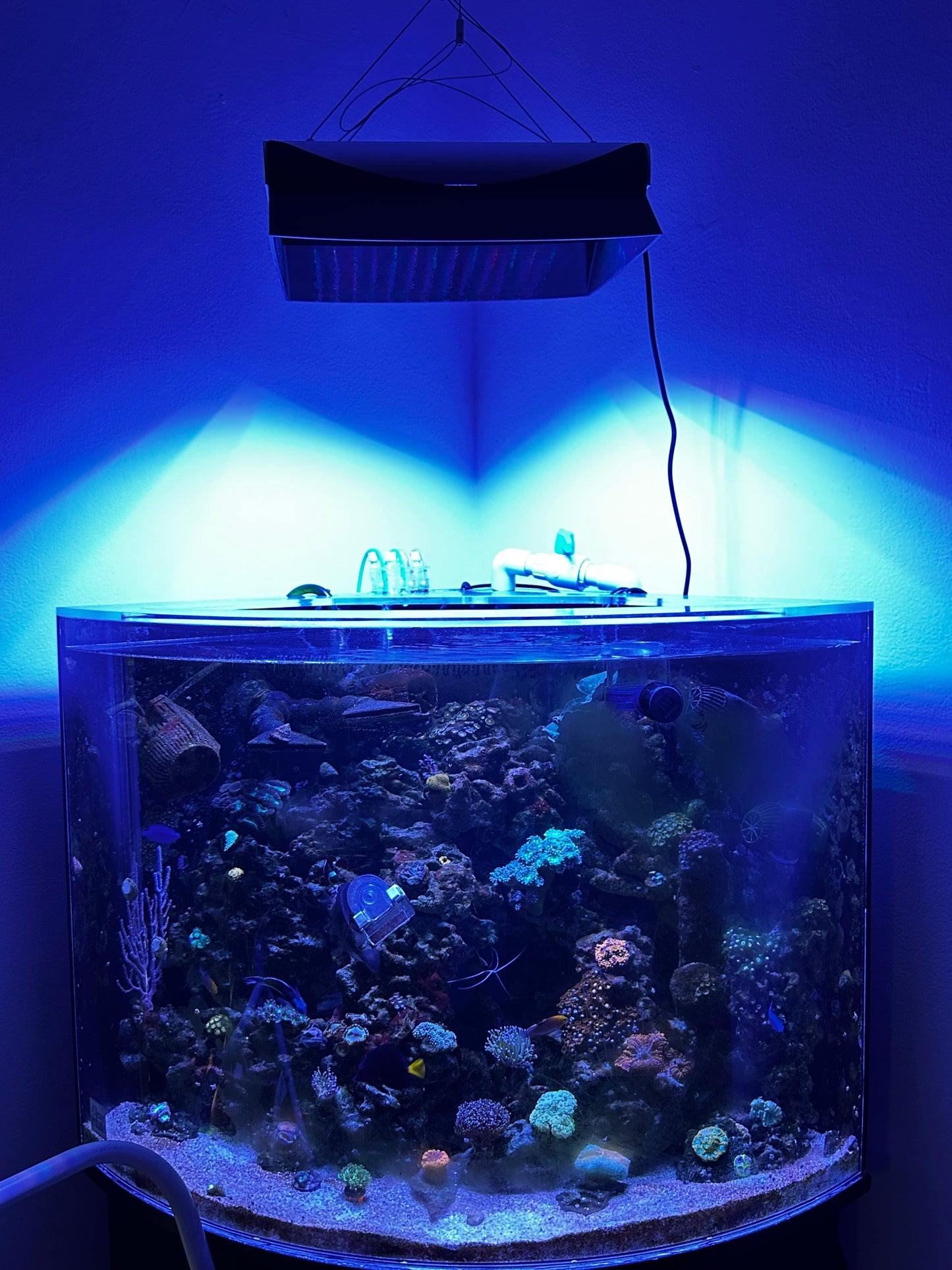 Orphek Natura iCon Light Shade by Reef Racket LLC