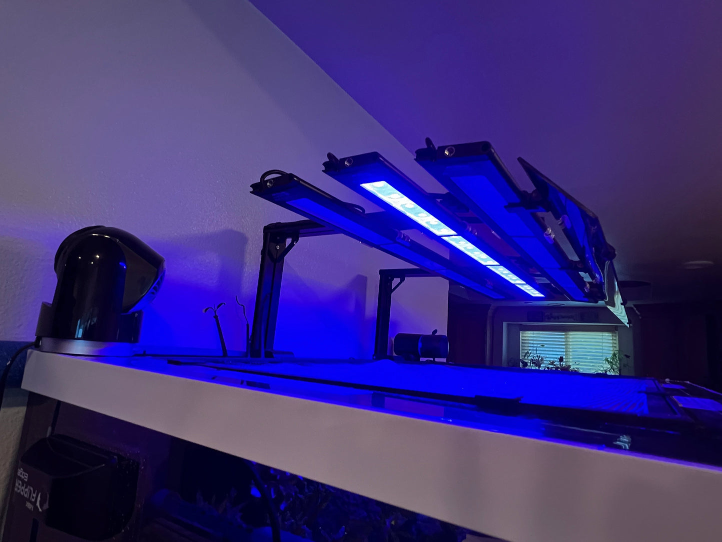 AquaIllumination Blade Light Shade Set of 2 (Coral Grow, Glow, Freshwater, Refugium) WYSIWYG Coral by Reef Racket LLC