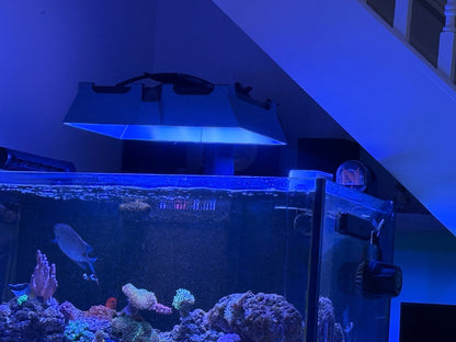 Neptune Systems SKY LED Light Shade by Reef Racket LLC