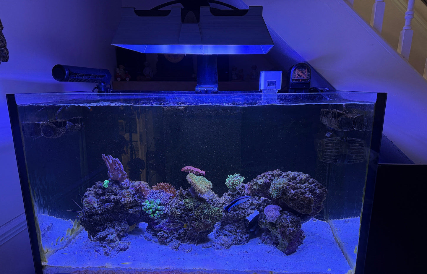 Neptune Systems SKY LED Light Shade by Reef Racket LLC