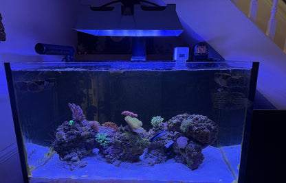 Neptune Systems SKY LED Light Shade by Reef Racket LLC