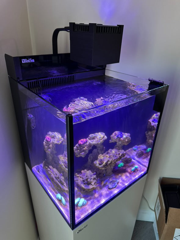Red Sea ReefLED 50 LED Light Shade by Reef Racket LLC