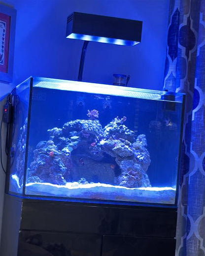 AquaIllumination Hydra 64 HD LED Reef Light Shade by Reef Racket LLC