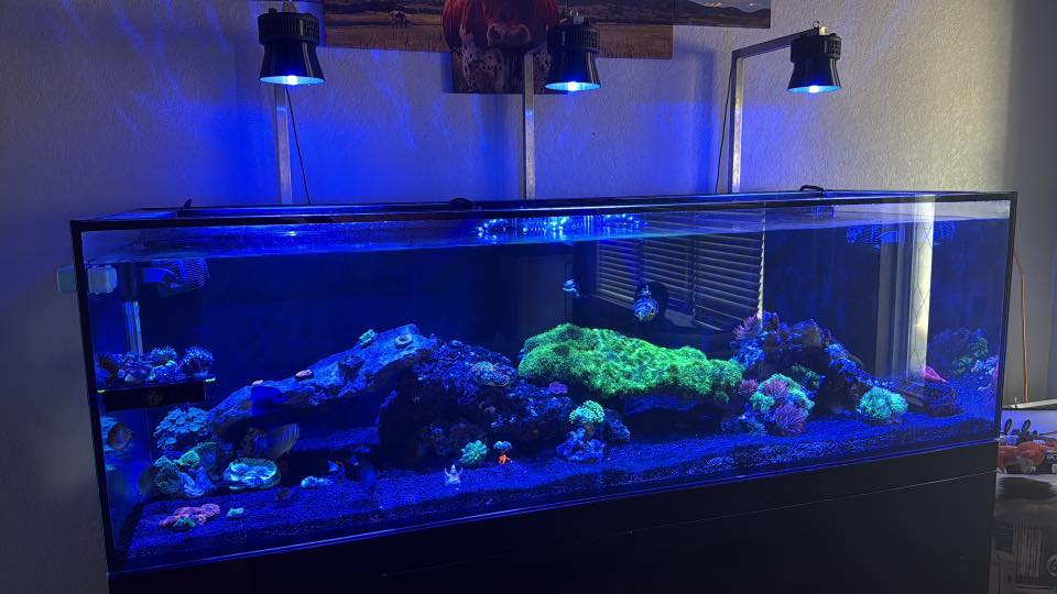 Kessil A360X/XE Light Shade by Reef Racket LLC