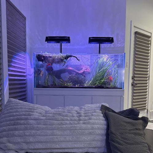 Kessil AP9X Light Shade by Reef Racket LLC