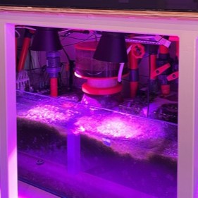 Kessil A360X/XE Light Shade by Reef Racket LLC