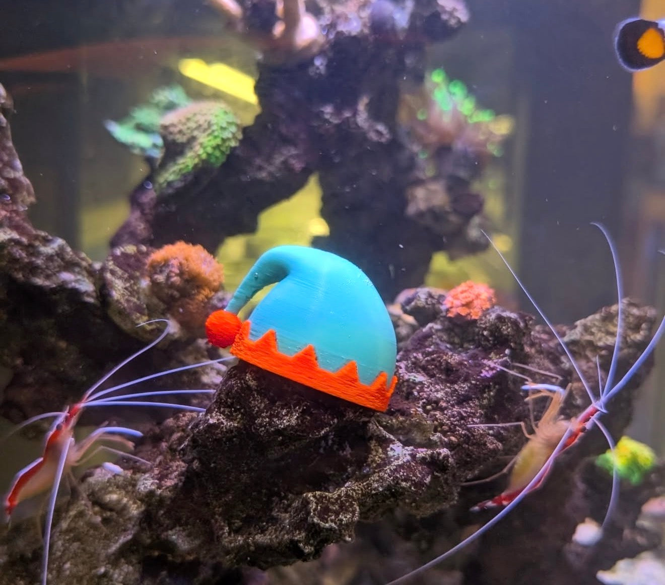 Printed Reef Christmas Sea Urchin Hats | Set of 3 by Reef Racket LLC
