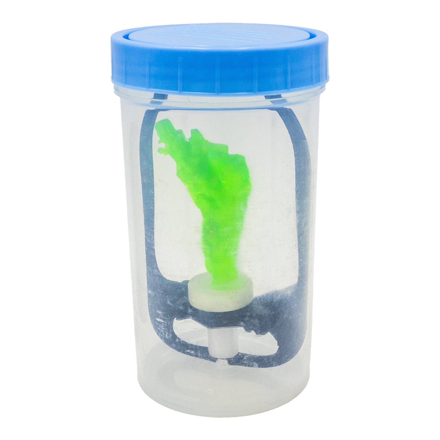FragLoc™ - Coral Frag Transport Cup Kit WYSIWYG Coral by Reef Racket LLC