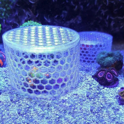 Mushroom Cage Mushroom Coral by Reef Racket LLC