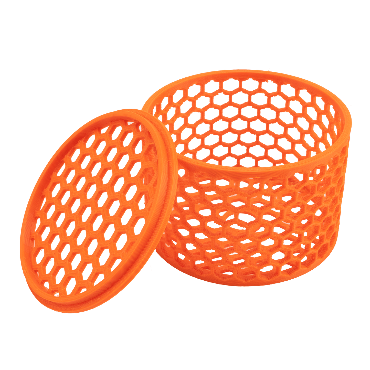 Mushroom Cage Mushroom Coral by Reef Racket LLC