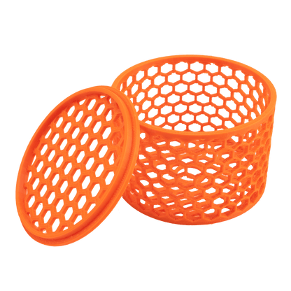 Mushroom Cage Mushroom Coral by Reef Racket LLC