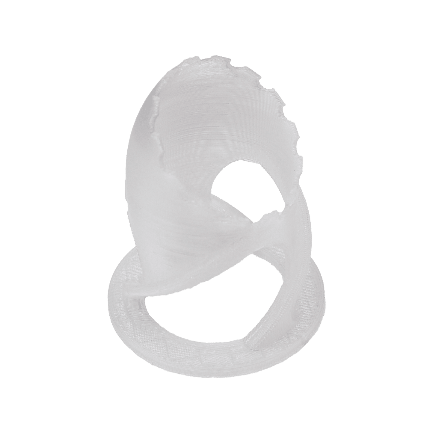 Scoly Stands for Scolymia Corals WYSIWYG Coral by Reef Racket LLC