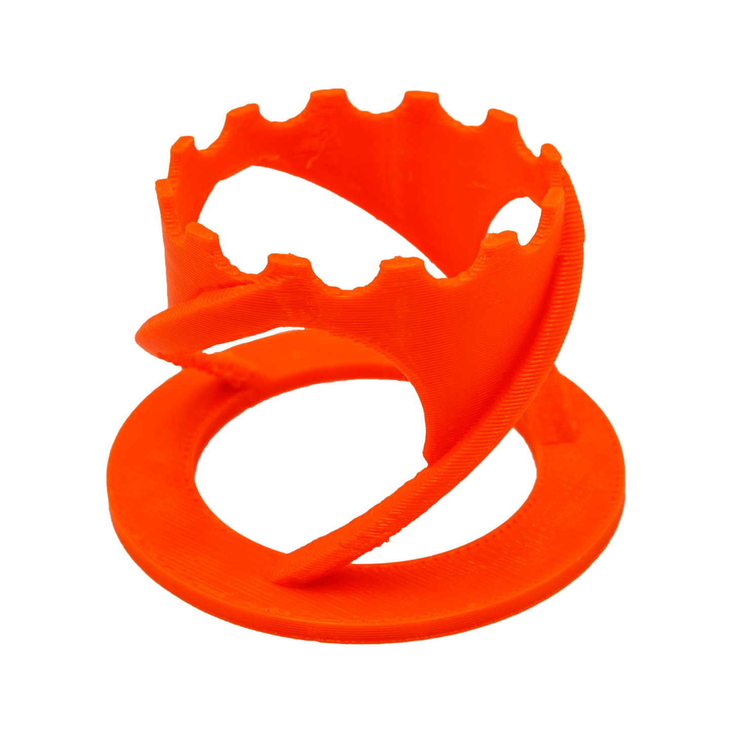Scoly Stands for Scolymia Corals WYSIWYG Coral by Reef Racket LLC