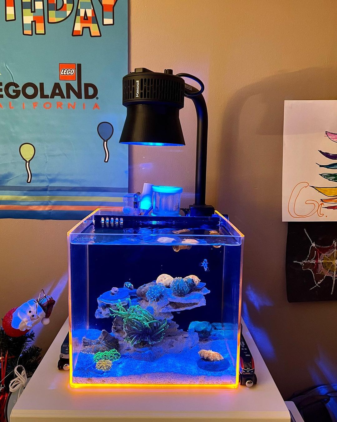 Kessil A360X/XE Light Shade by Reef Racket LLC
