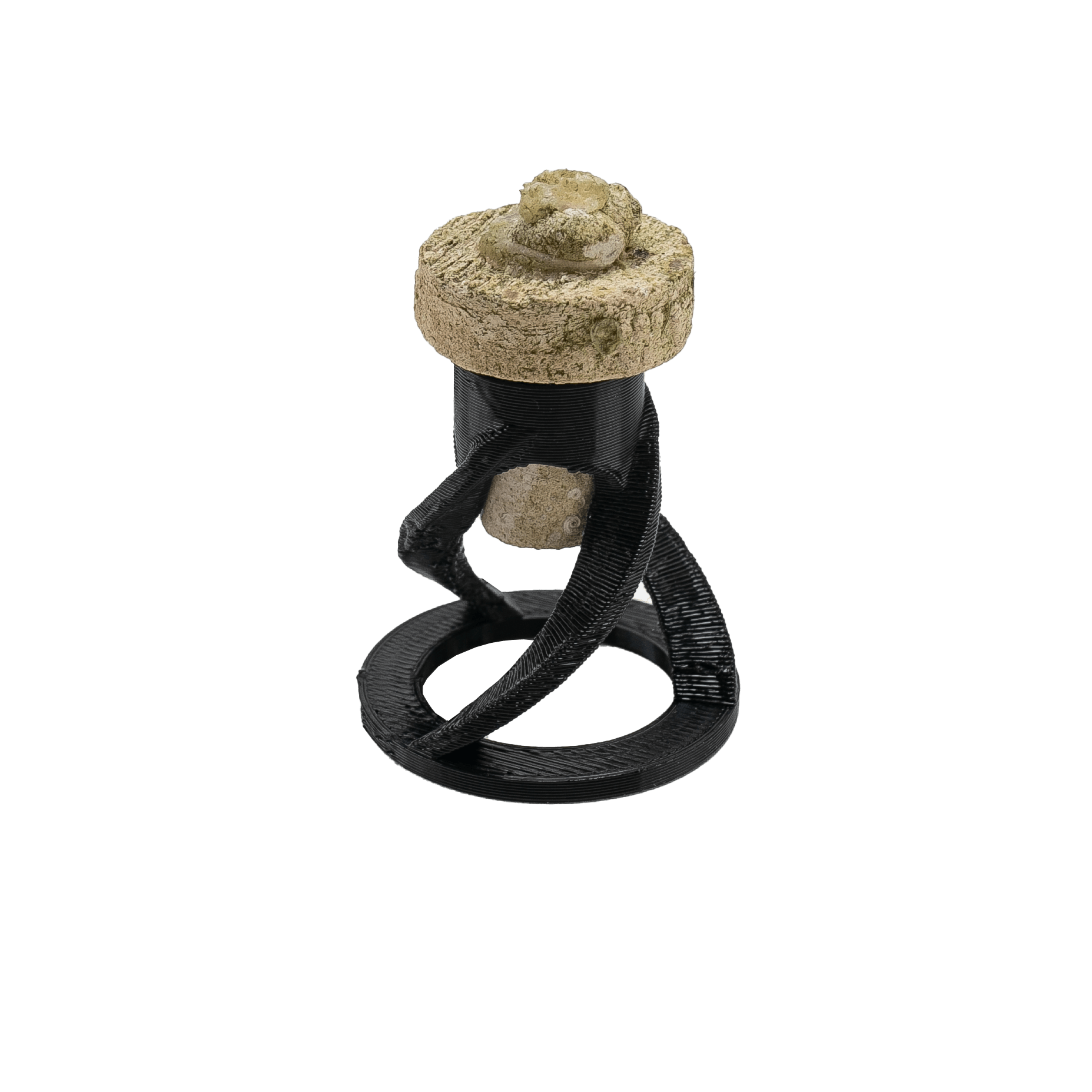 Coral Frag Plug Sand Stands - Set of 5 WYSIWYG Coral by Reef Racket LLC