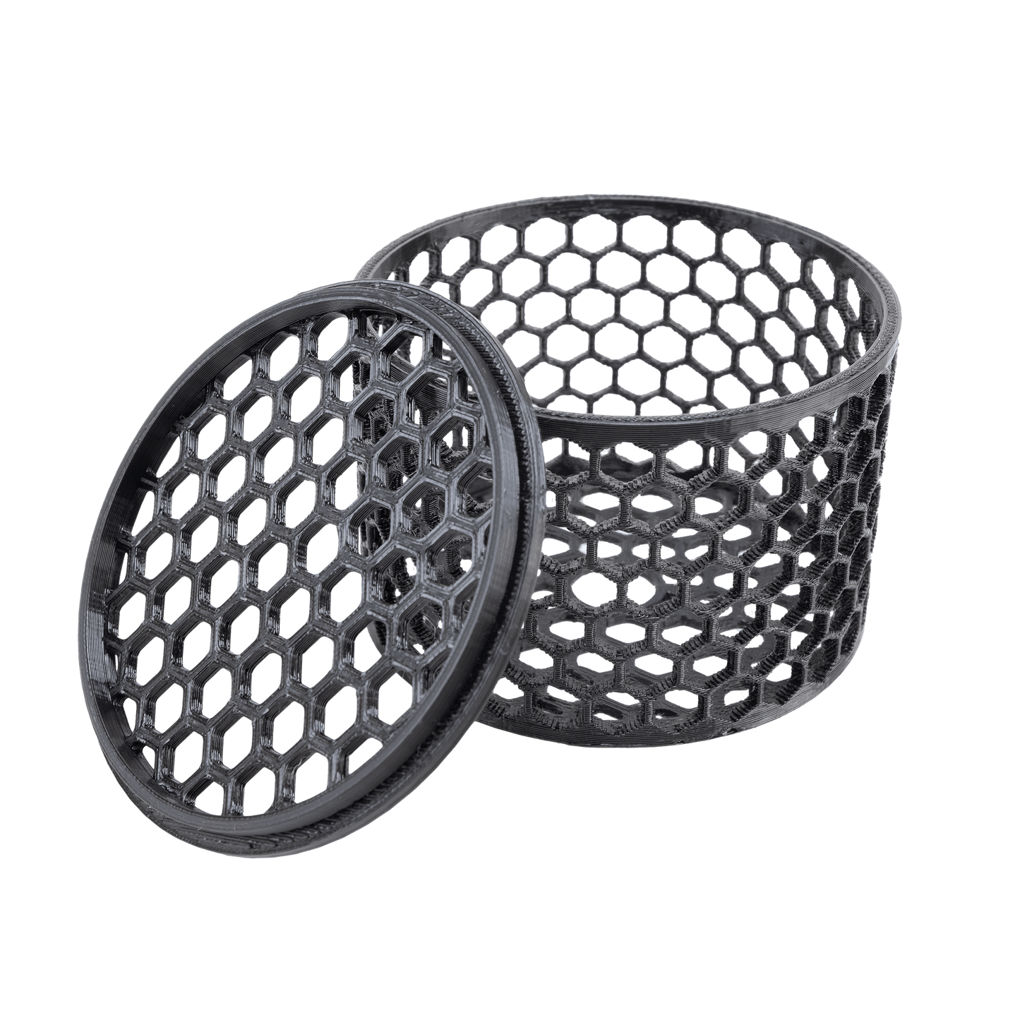 Mushroom Cage Mushroom Coral by Reef Racket LLC