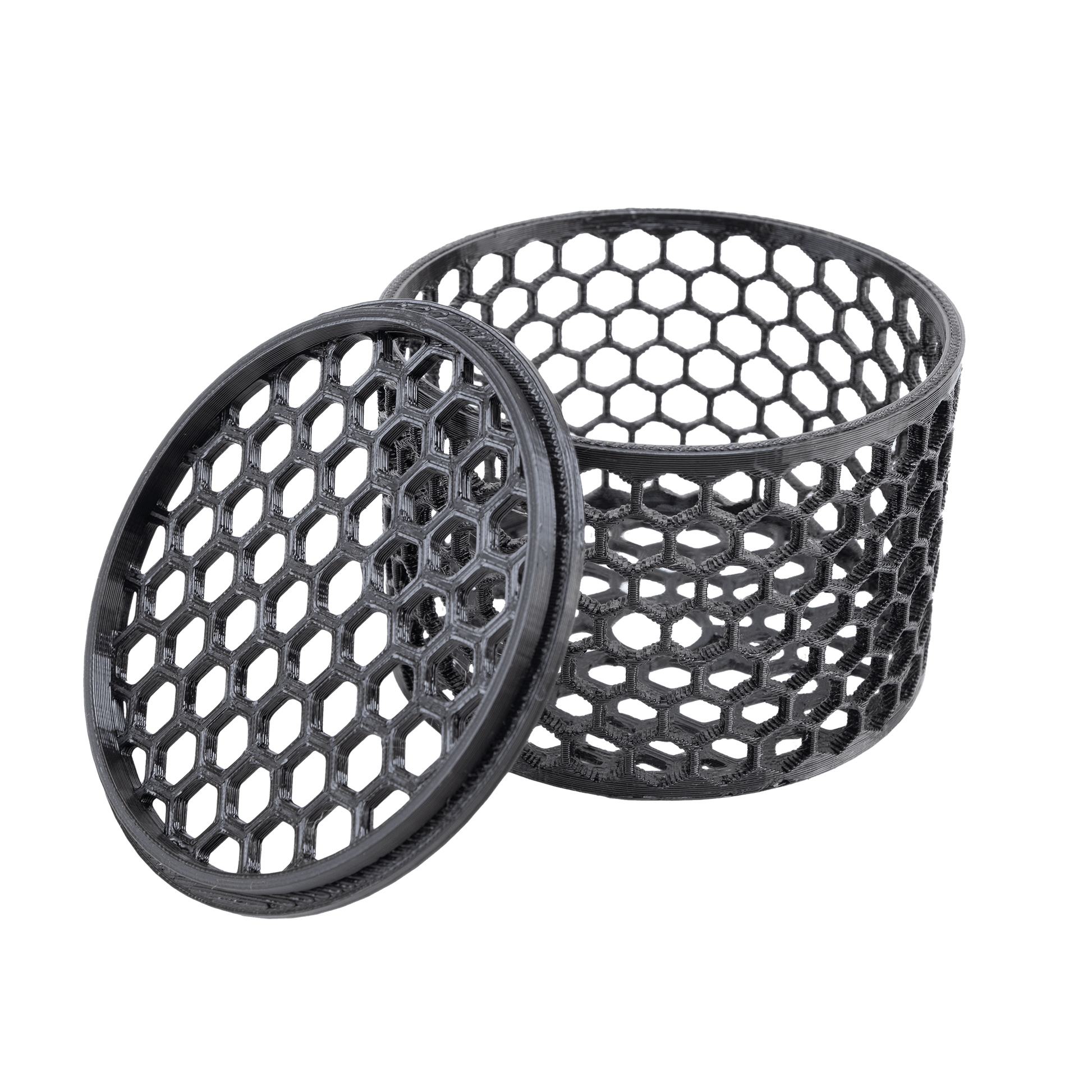 Mushroom Cage Mushroom Coral by Reef Racket LLC