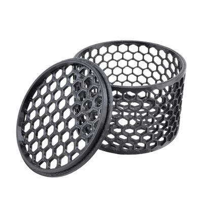 Mushroom Cage Mushroom Coral by Reef Racket LLC
